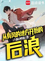 从有风的地方开始的后浪